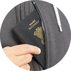 Passport Pocket