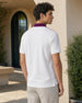 Accent Collar Polo