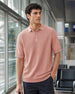 Structured Raglan Knit Polo T-Shirt