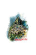 Machu Picchu Oversized T-Shirt
