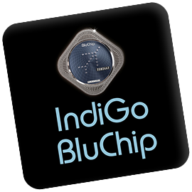 Indigo Logo